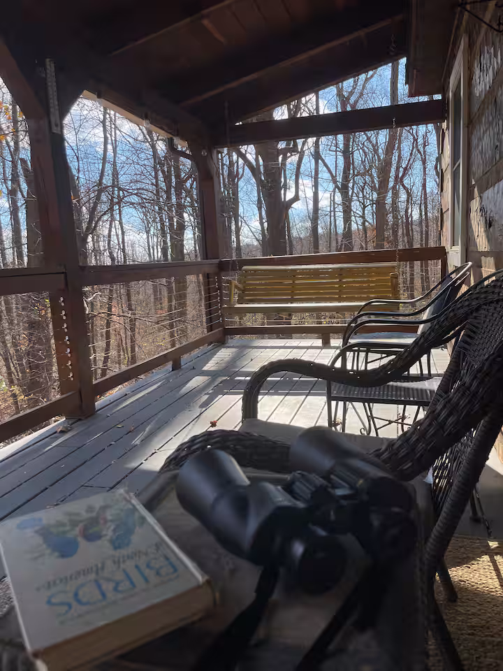 Deck & Outdoor Spaces photo 1