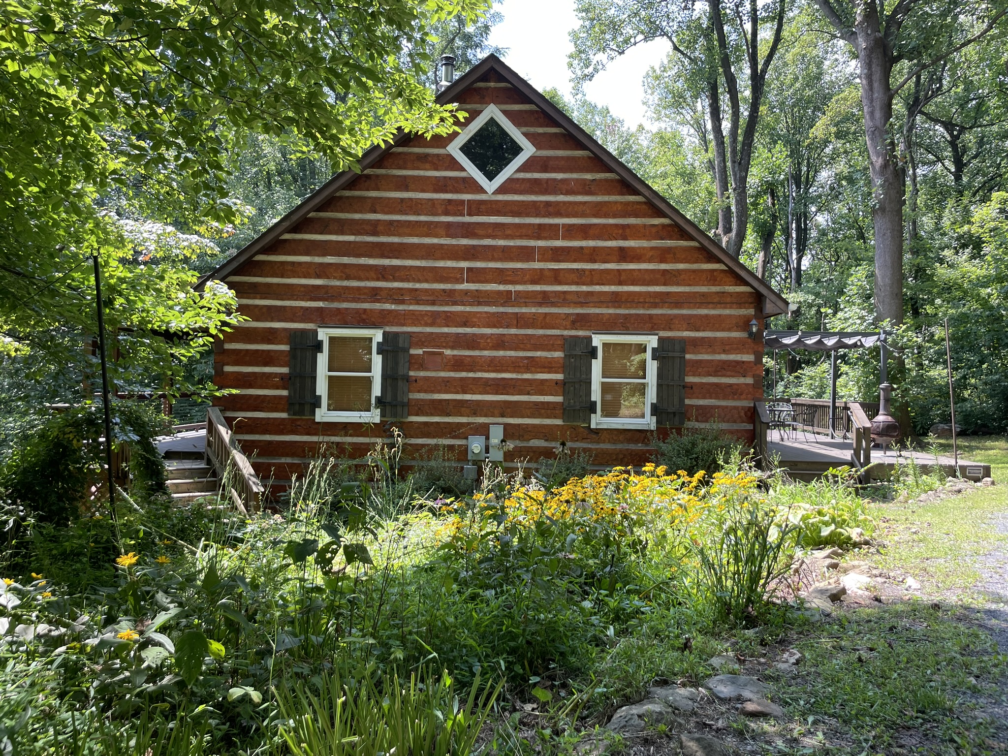 Night forest near Blue Mountain Log Cabin